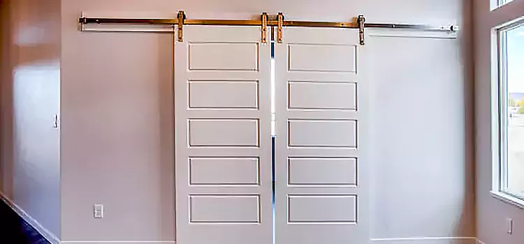 Glass Barn Door with Installation Hardware Kit Titusville
