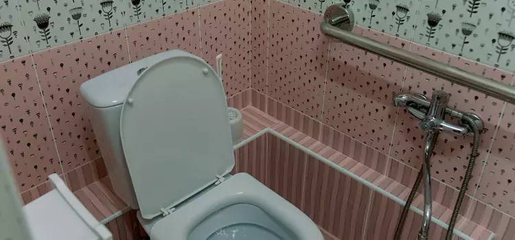 Meeting Diverse Needs With Accessible Restroom Solutions in Titusville, FL