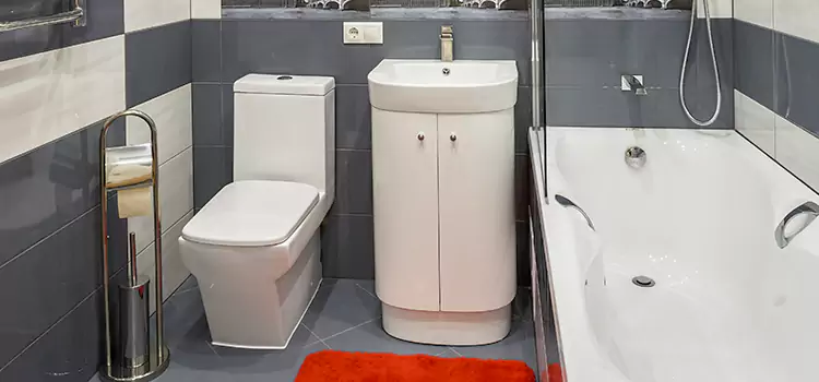 Hansgrohe Shaving Mirror Titusville